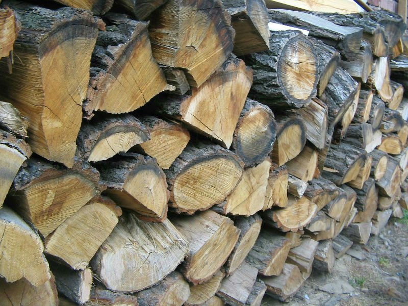 All About Seasoned Firewood